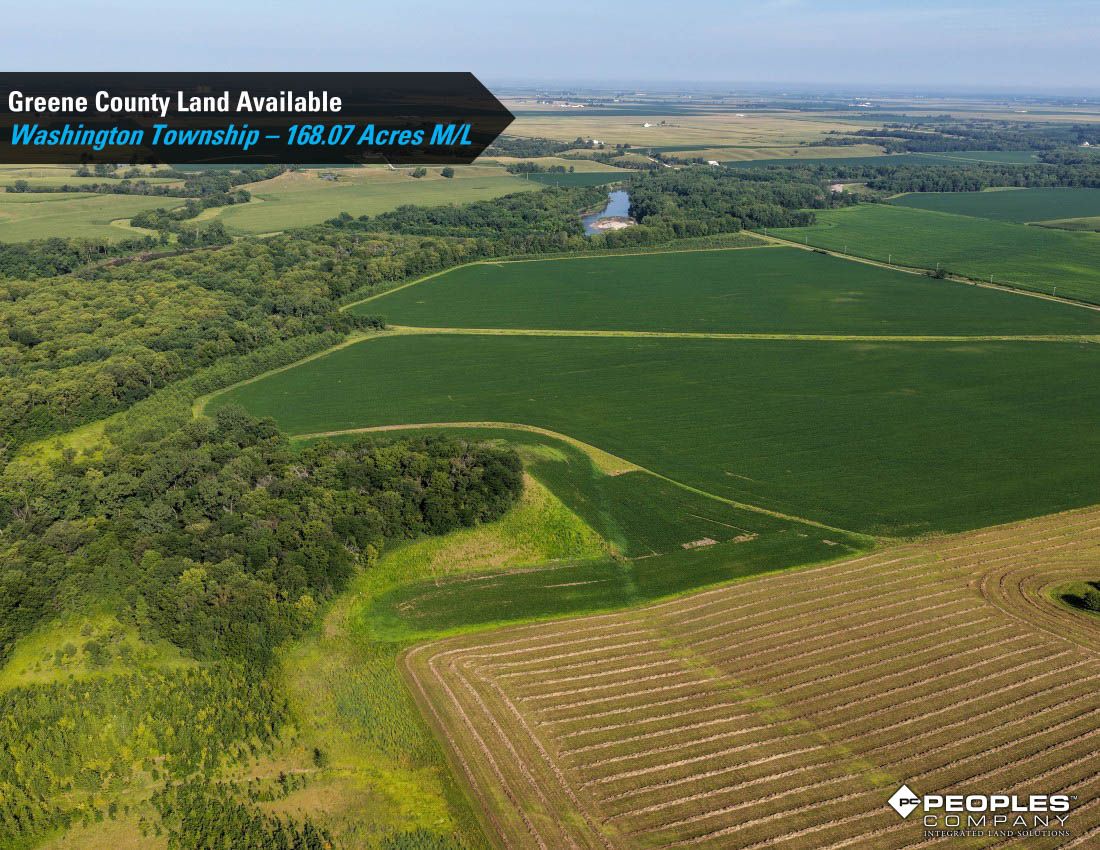 Listing Photo: Greene-County-Land-Available-168-Acres-19616 (11)